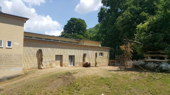 Zoo Frankfurt